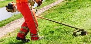 Grounds Maintenance Contract